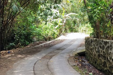 Land in Tabanan, Bali (12140) 9