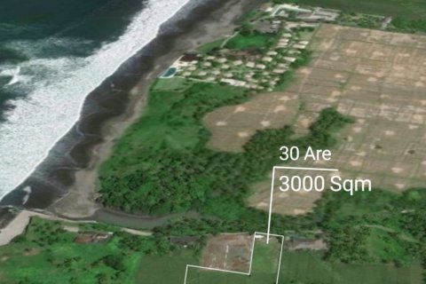 Land in Tabanan, Bali (12140) 4