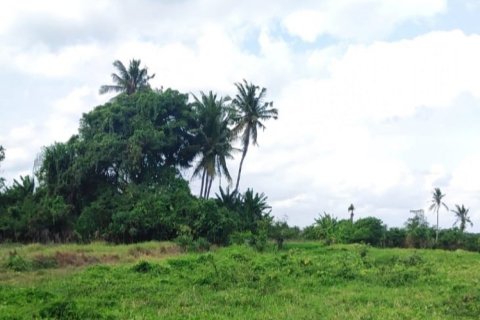 Land in Tabanan, Bali (12140) 6