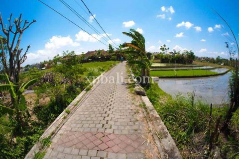Tanah kavling 2165m2 di Tampaksiring, Gianyar, Bali (5983)