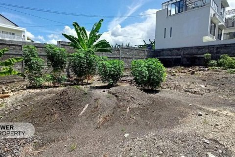 Tanah kavling 600m2 di Canggu, Badung, Bali (9957)