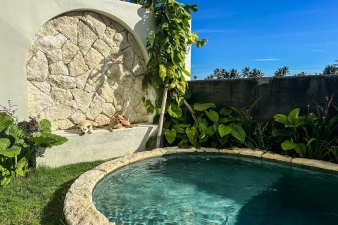 4 bedrooms Villa in Tabanan, Bali (702) 6