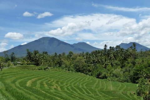 16 bedrooms Villa in Tabanan, Bali (701) 15