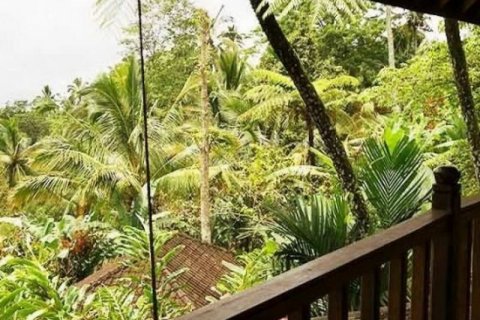 16 bedrooms Villa in Tabanan, Bali (701) 11