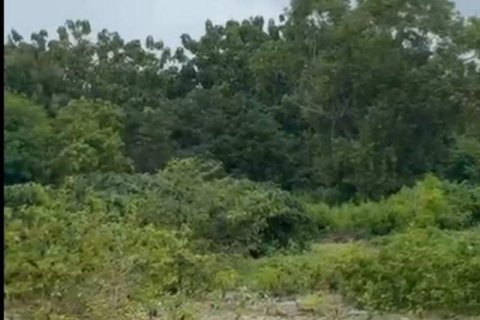 13475m2 Land in South Kuta, Badung, Bali (10110) 3