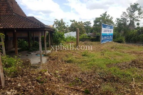 1500m2 Land in Kerobokan, Badung, Bali (818) 5
