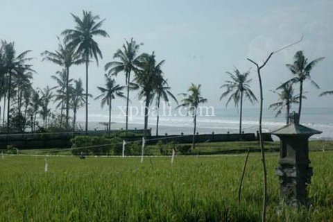 8400m2 Land in Tabanan, Bali (817) 3