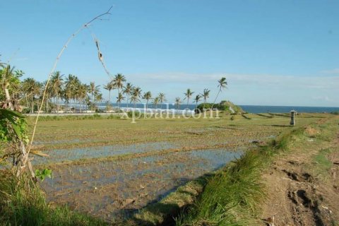 8400m2 Land in Tabanan, Bali (817) 2