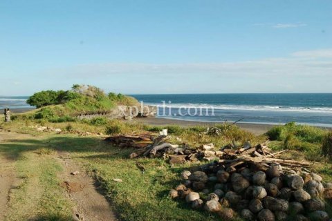 8400m2 Land in Tabanan, Bali (817) 4