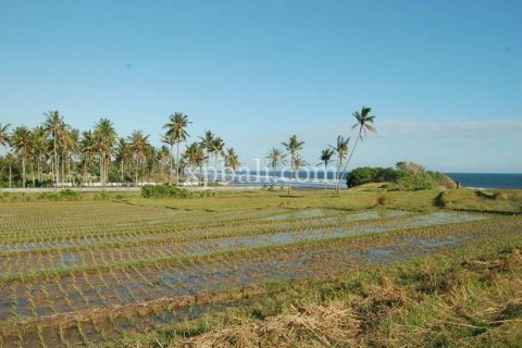 Tanah kavling 8400m2 di Tabanan, Bali (817)