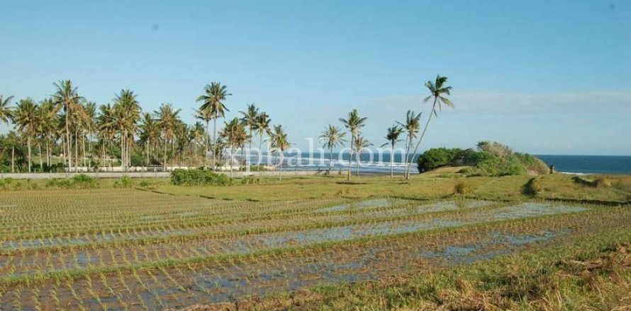 8400m2 Land in Tabanan, Bali (817)