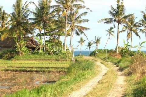 8400m2 Land in Tabanan, Bali (817) 7