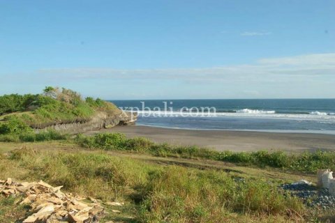 8400m2 Land in Tabanan, Bali (817) 6