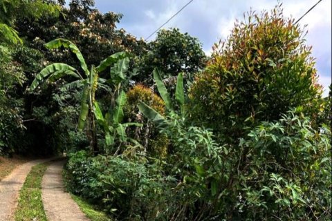 Tanah kavling di Buleleng, Bali (12198)