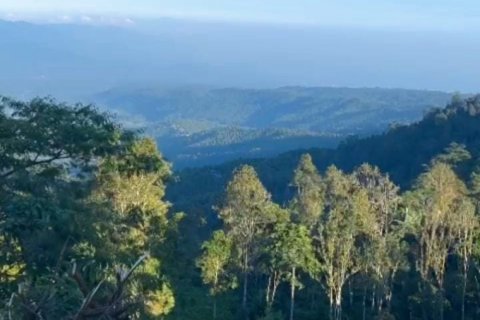 Land in Buleleng, Bali (12198) 2