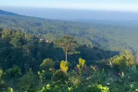 Land in Buleleng, Bali (12198) 3