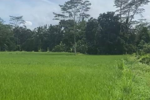 Tanah kavling di Gianyar, Bali (12199)