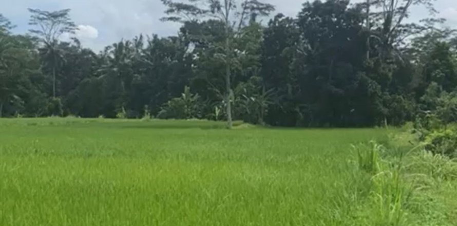 Land in Gianyar, Bali (12199)