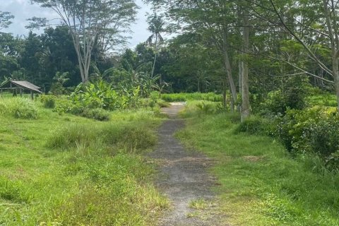 Land in Gianyar, Bali (12199) 3