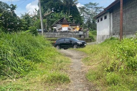 Land in Gianyar, Bali (12199) 2