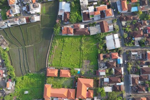 Land in Mengwi, Badung, Bali (11775) 5