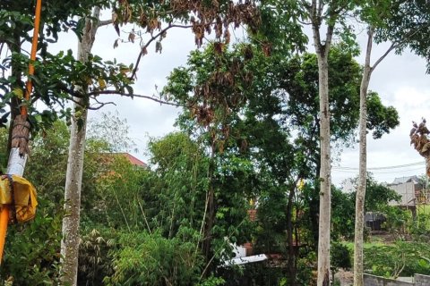 700m2 Land in Canggu, Badung, Bali (11779) 3