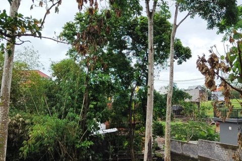 700m2 Land in Canggu, Badung, Bali (11779) 2
