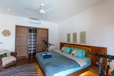 4 bedrooms Villa in Kerobokan, Badung, Bali (11780) 13