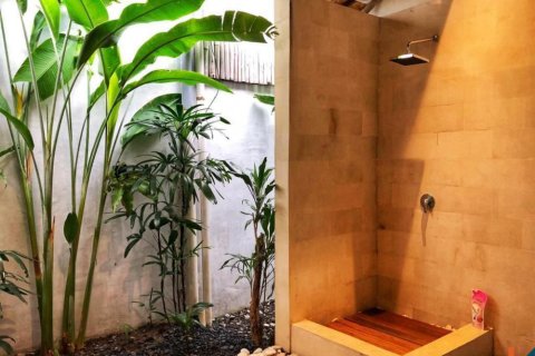 2 bedrooms Villa in Seminyak, Badung, Bali (11776) 13