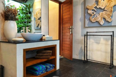 2 bedrooms Villa in Seminyak, Badung, Bali (11776) 11