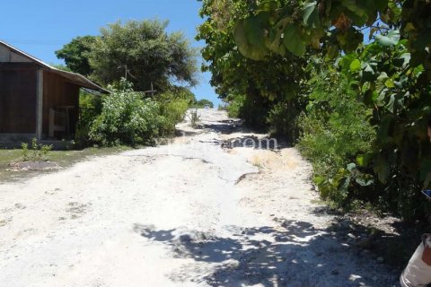Tanah kavling 784m2 di Nusa Dua, Badung, Bali (873) 3