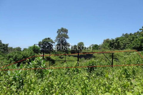 Tanah kavling 784m2 di Nusa Dua, Badung, Bali (873) 6
