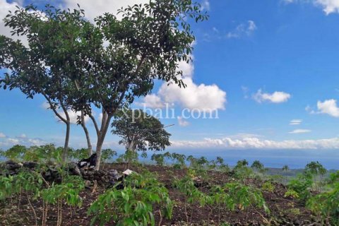 2410m2 Land in Nusa Penida, Klungkung, Bali (879) 6