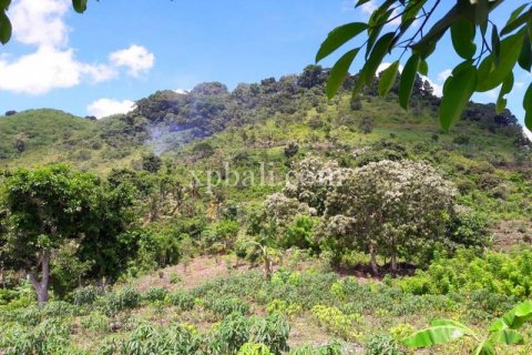 2410m2 Land in Nusa Penida, Klungkung, Bali (879) 4