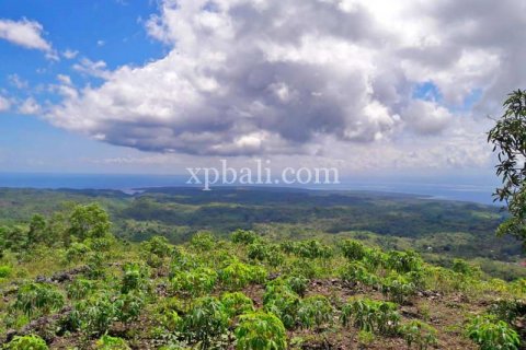 2410m2 Land in Nusa Penida, Klungkung, Bali (879)