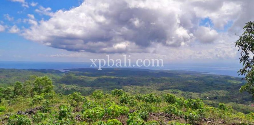 2410m2 Land in Nusa Penida, Klungkung, Bali (879)