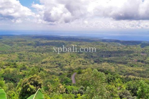 2410m2 Land in Nusa Penida, Klungkung, Bali (879) 3