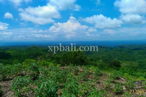 2410m2 Land in Nusa Penida, Klungkung, Bali (879) 2