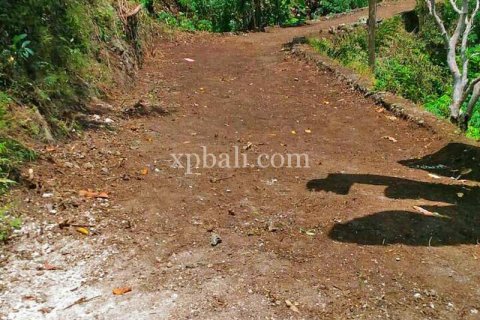 2410m2 Land in Nusa Penida, Klungkung, Bali (879) 5