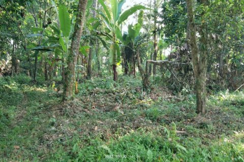 Land in Tabanan, Bali (12186) 3