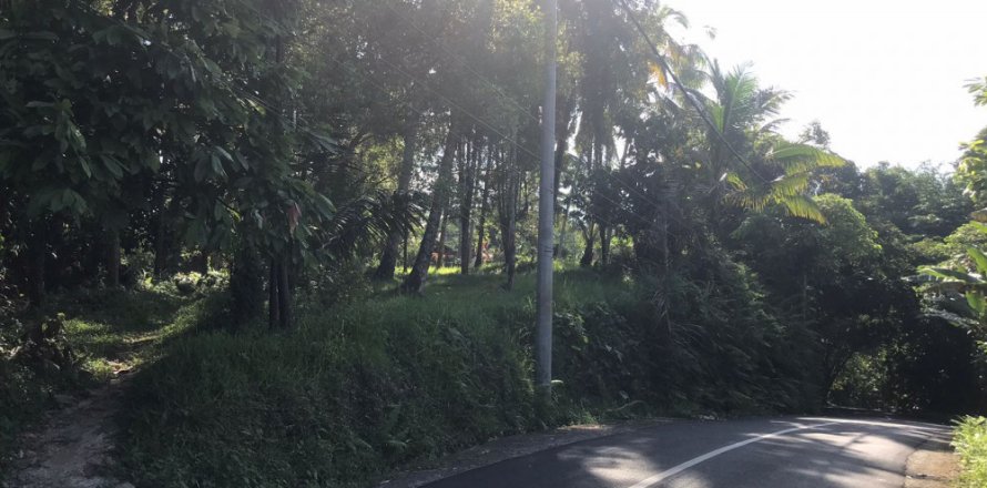 Land in Tabanan, Bali (12186)