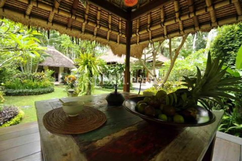 5 bedrooms Villa in Karangasem, Karang Asem, Bali (934) 6