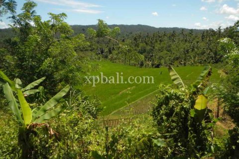 19200m2 Land in Tabanan, Bali (928) 8