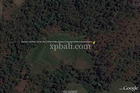 19200m2 Land in Tabanan, Bali (928) 11