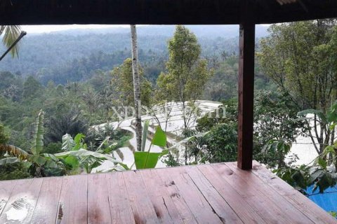 19200m2 Land in Tabanan, Bali (928) 3