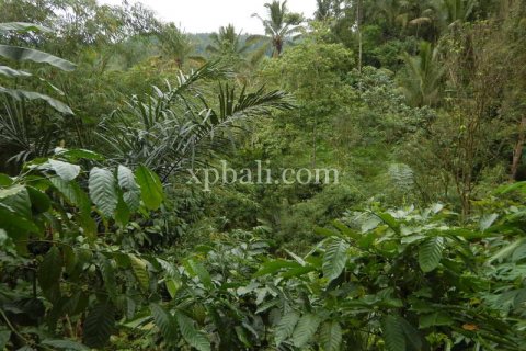 19200m2 Land in Tabanan, Bali (928) 2