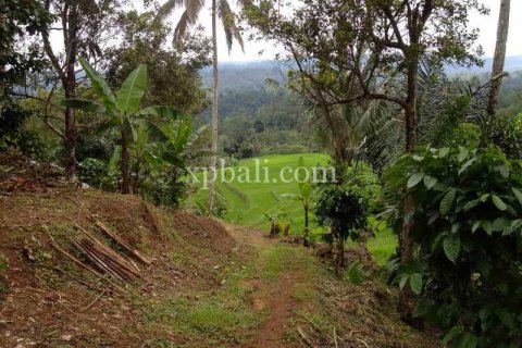 19200m2 Land in Tabanan, Bali (928) 10