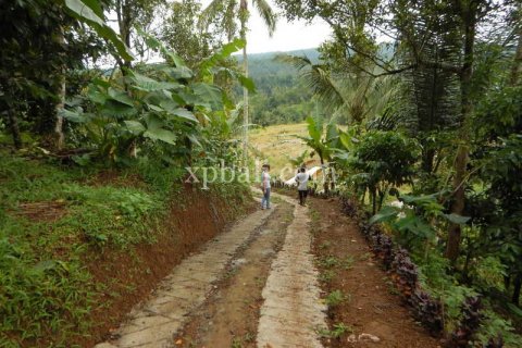 19200m2 Land in Tabanan, Bali (928) 4