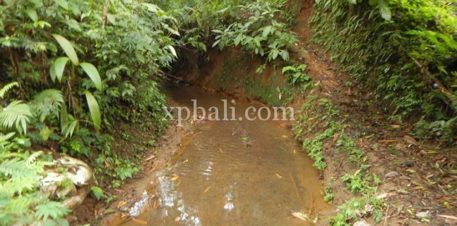 19200m2 Land in Tabanan, Bali (928)