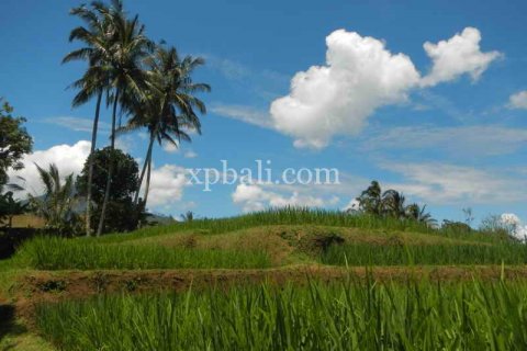 19200m2 Land in Tabanan, Bali (928) 9
